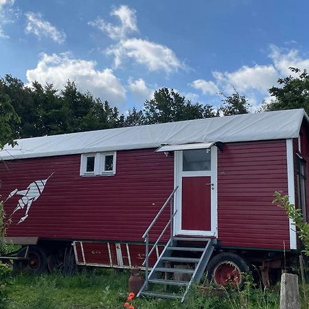 Zirkuswagen Nahe Ostsee Und Schlei Wagersrott Ngoại thất bức ảnh